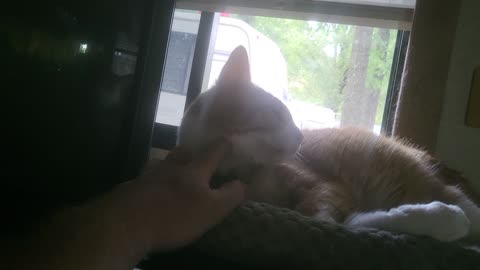 Prezzie slumbering 2