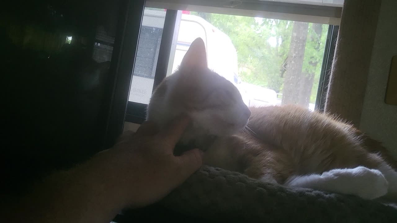 Prezzie slumbering 2