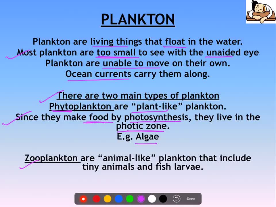 Environment and Ecology Lecture 9.1 - Marine Organisms