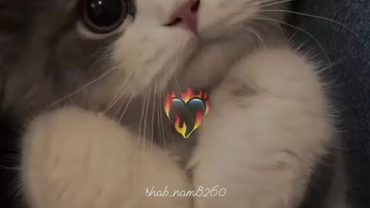 So cute🤗🤓