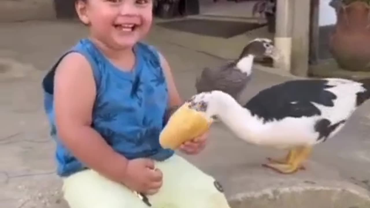 duck and funny viral baby