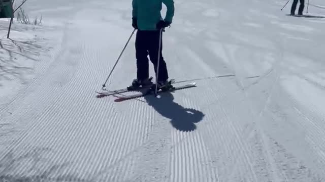 Spring 2022 clip 5