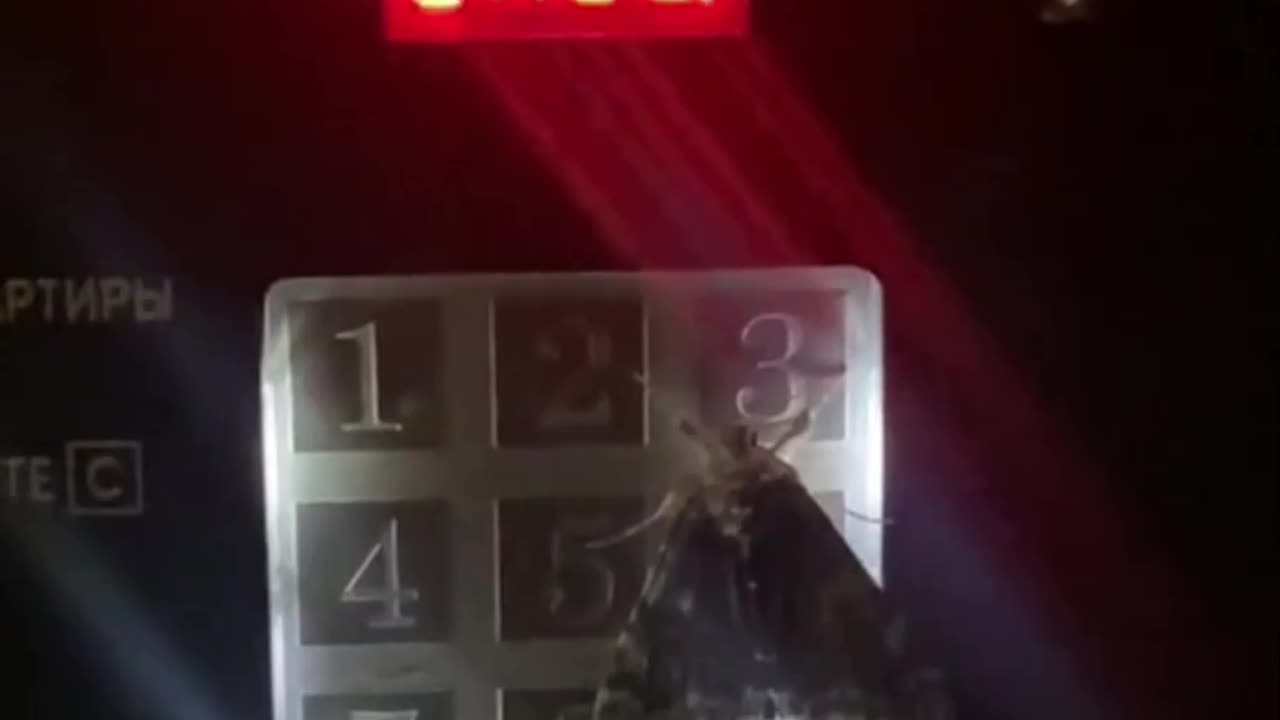 When the moth decides to prank call you