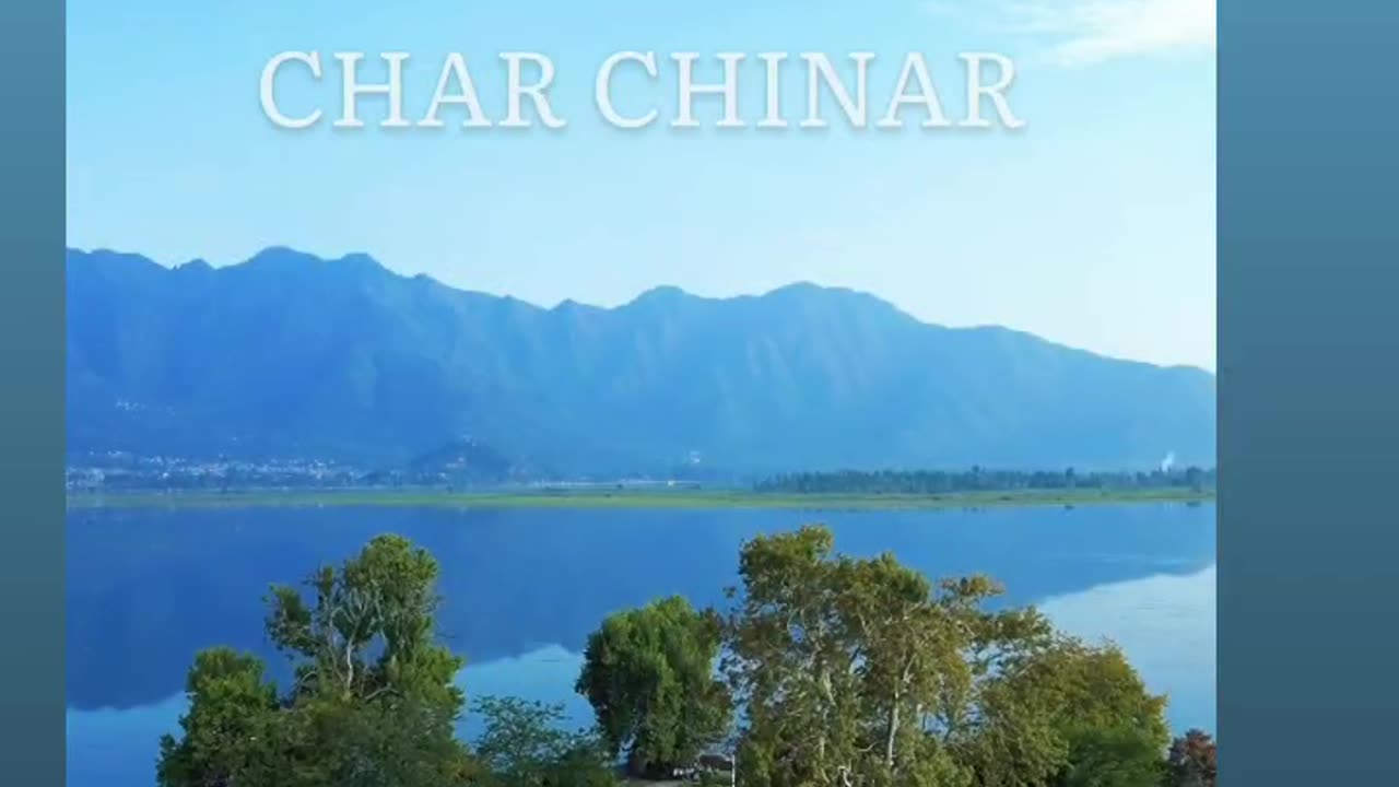 4 Chinar Kashmiri Island