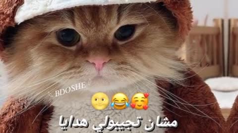 ماشي متابعيني 👌🏻🥰😂#بدوشي #تصميمي #سوريا #fyp #اكسبلورexplore