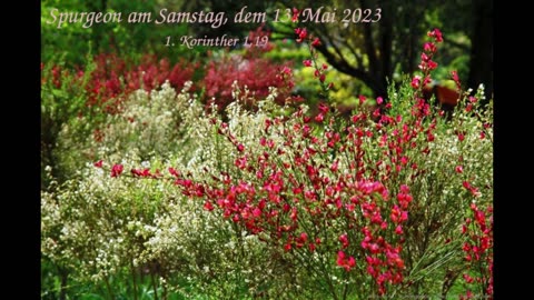 Spurgeon am Samstag, dem 13. Mai 2023