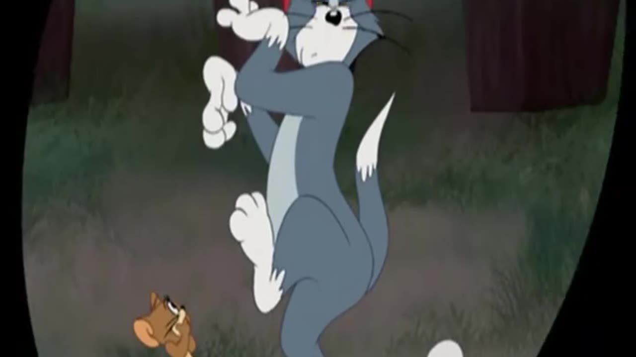 Best cartoon funny Tom and Jerry see and enjoy