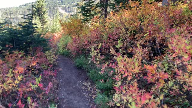 Oregon – Mount Hood – Alpine in Autumn