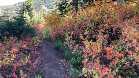 Oregon – Mount Hood – Alpine in Autumn