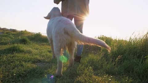 Young female walking with retriever dog on the path near the sea at sunset