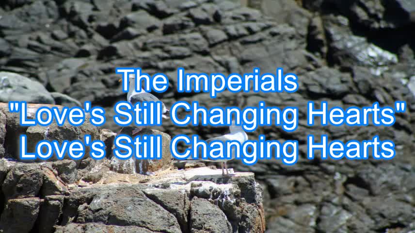 The Imperials - Love's Still Changing Hearts #283