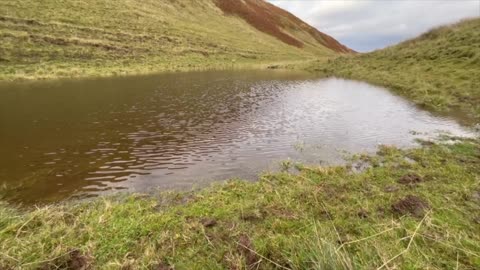 Hollow Haugh - Hartside - Dun Kaim - Peaked Craig - Linton Muir - Windy Gowl - Cock Rig - Lead Law