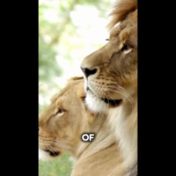 Stress is a Mind Game