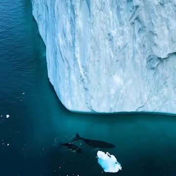 Anti-Loosh Video Number 86. LOOSH is real and bad. Explained below and watch the video!