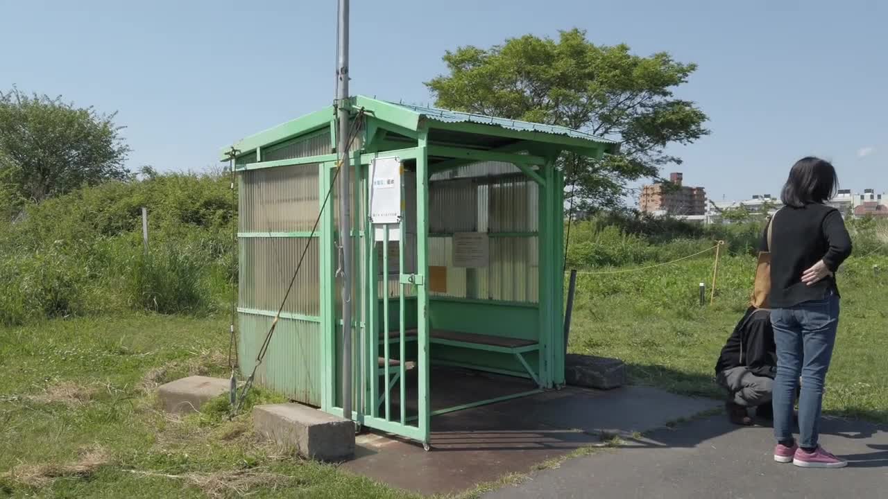 Ferryboat offers escape from the hustle of daily life - The Japan News