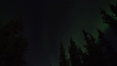 Aurora Borealis Fairbanks Alaska Sept 12 2014