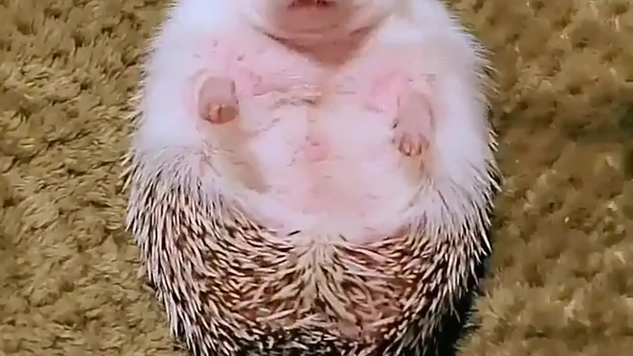 Organs Blossomed with the Smell of Food #shorts #viral #shortsvideo #video