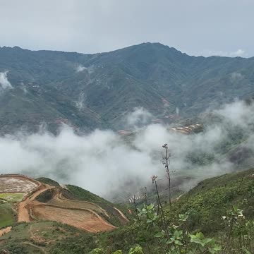 Relaxing white noise above the clouds ⛅️😍🦕