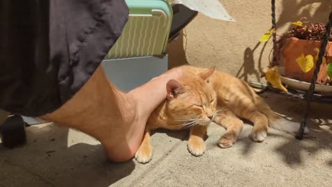 2023-05-27 (5) - (live sans titre) - Twitch Publicités (version avec chat)