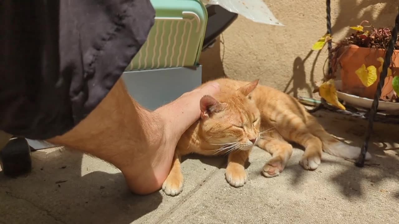 2023-05-27 (5) - (live sans titre) - Twitch Publicités (version avec chat)