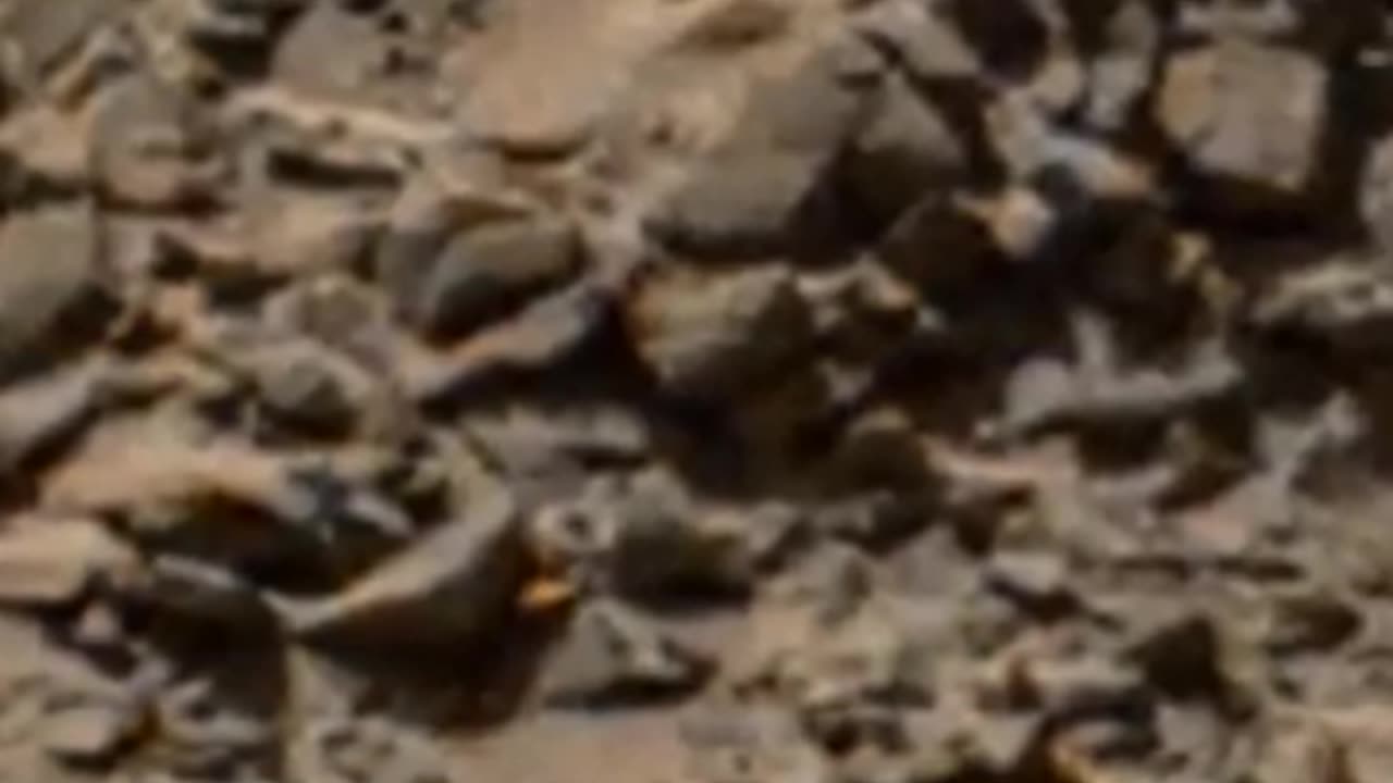 Secrets of Mars Episode 39