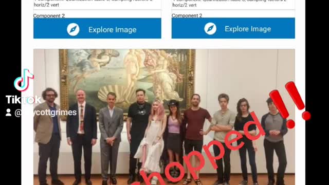 WELL WELL WHAT DO WE HAVE HERE, ELON MUSK IN ITALY PICTURES WERE PHOTOSHOPPED AS USUAL🙄