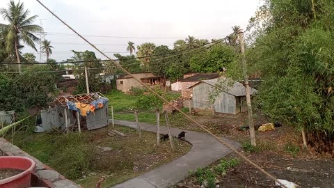 Village after rain