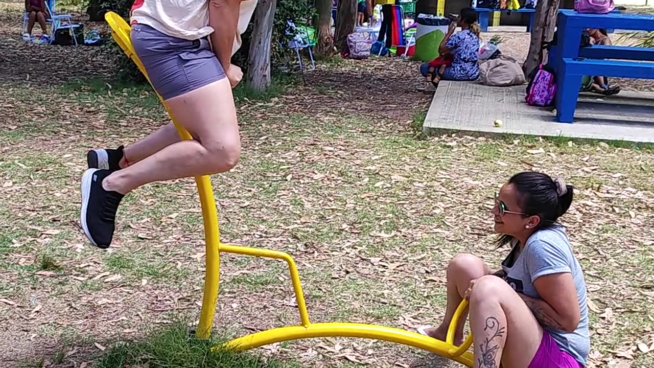 Park Seesaw Faceplant Fail