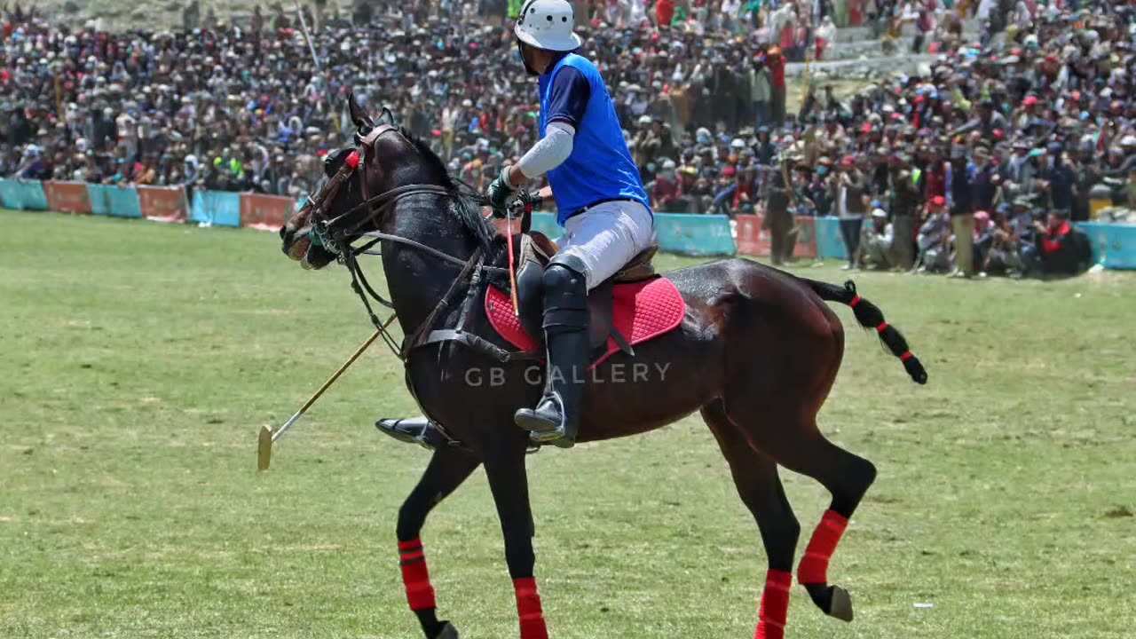 Saddam Raji young talent in freestyle polo.