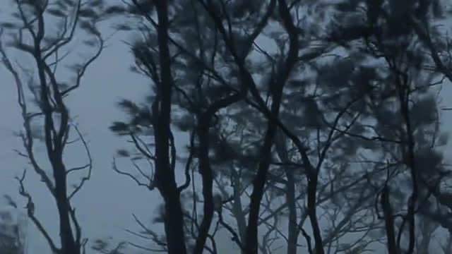 Who on earth would like this gloomy and lonely atmosphere