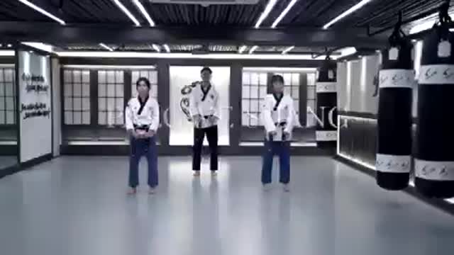 Taekwondo Palgwe Forms 1 - 8