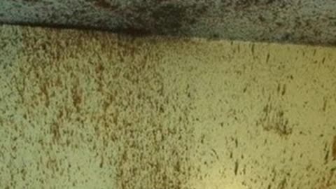 ΦΡΙΚΗ !!!ΑΠΟΚΕΦΑΛΙΣΜΟΣ ΑΠΟ ΚΑΤΣΑΡΟΛΑ ΣΤΟ ΠΕΡΑΜΑ