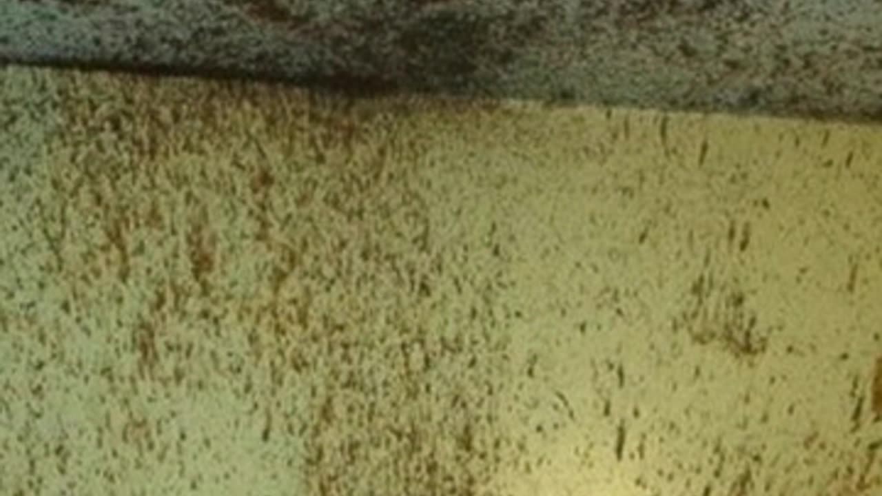 ΦΡΙΚΗ !!!ΑΠΟΚΕΦΑΛΙΣΜΟΣ ΑΠΟ ΚΑΤΣΑΡΟΛΑ ΣΤΟ ΠΕΡΑΜΑ