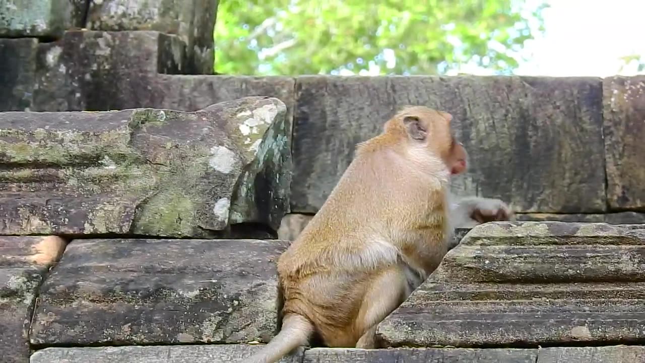 Got attack by his father.