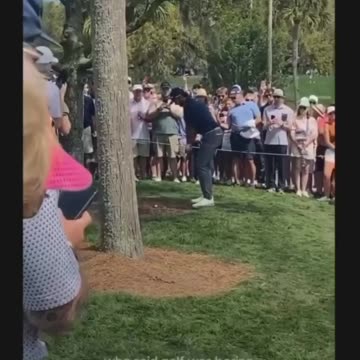 Scavino on Instagram - Who Said Golf Was Boring?