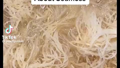 SEA MOSS IS SUPER HEALTHY