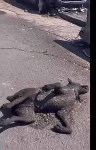 Makes No Sense | Maui