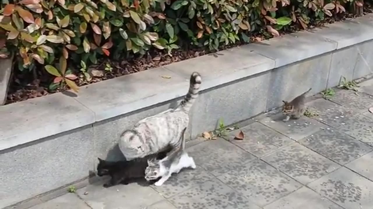 😅