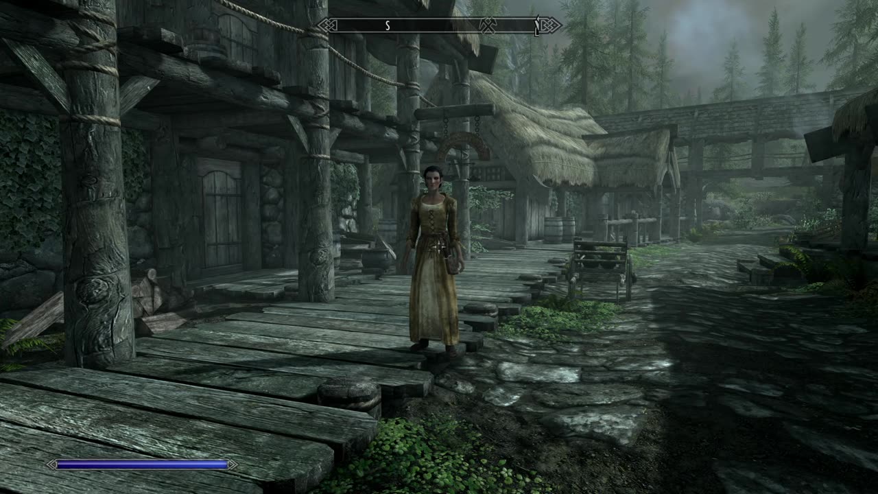 Skyrim Part 2? the journey to whiterun