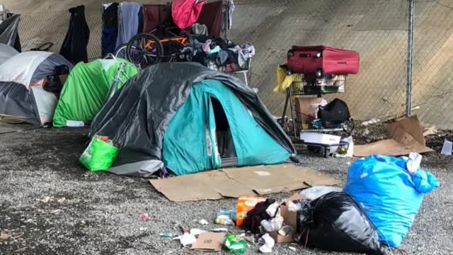 Welcome to California Land of FREE Stuff 2022