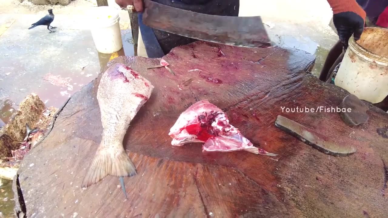 Amazing Fish Cutting Skills 3