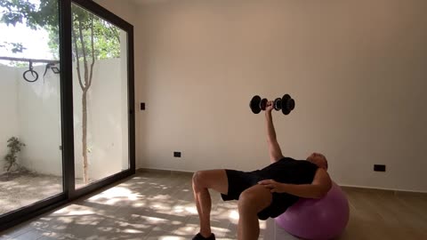 Chest Press One Arm - Dumbbells