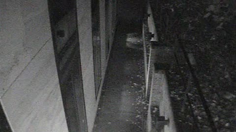 1457HSOB01GroundSoutheast_2021-01-06_05h03min16s060ms.mp4