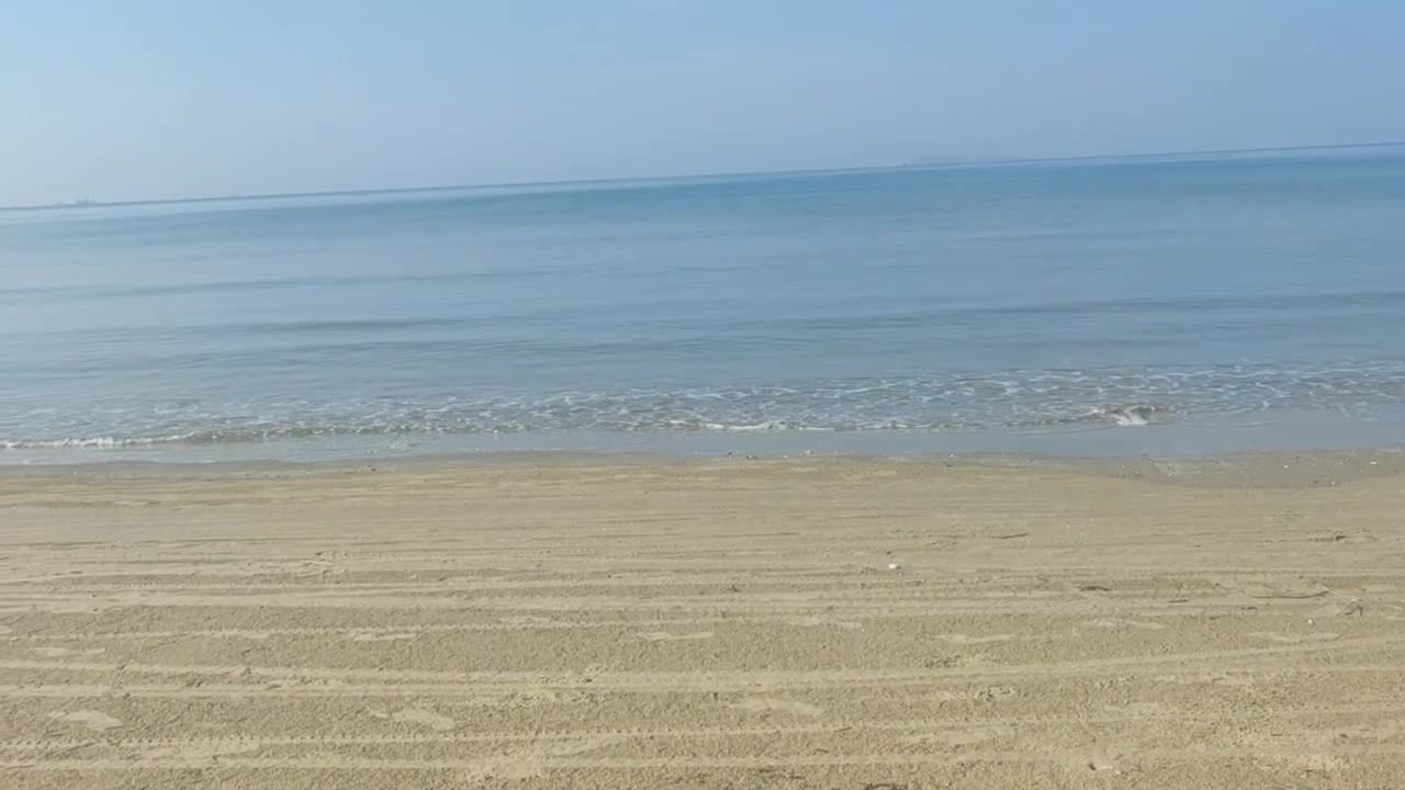 Facing the sea in spring