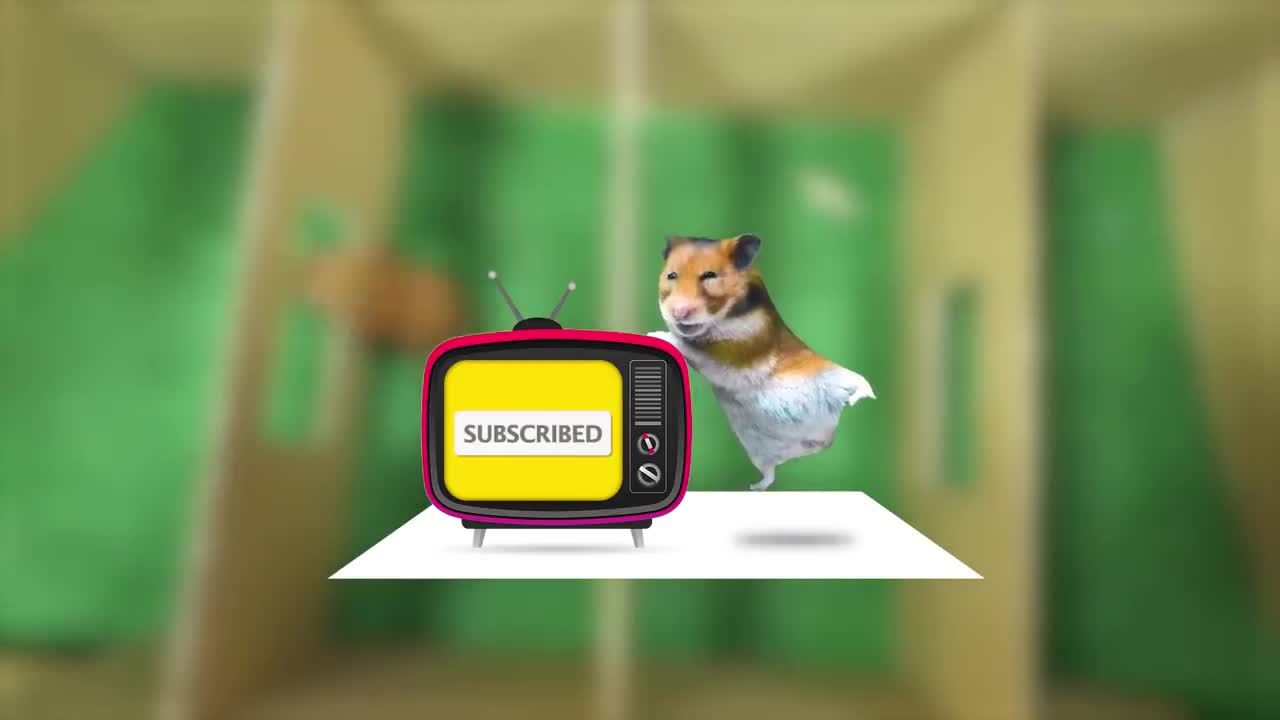 Cat Kitten ๐ Hamster ๐น vs Rabbit๐ Who is the BEST? Battle in the GAINT Maze with Animal Documentary