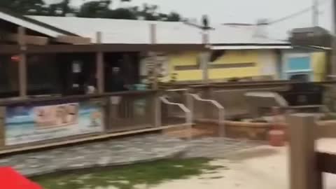 funny random clip 😂😂😂