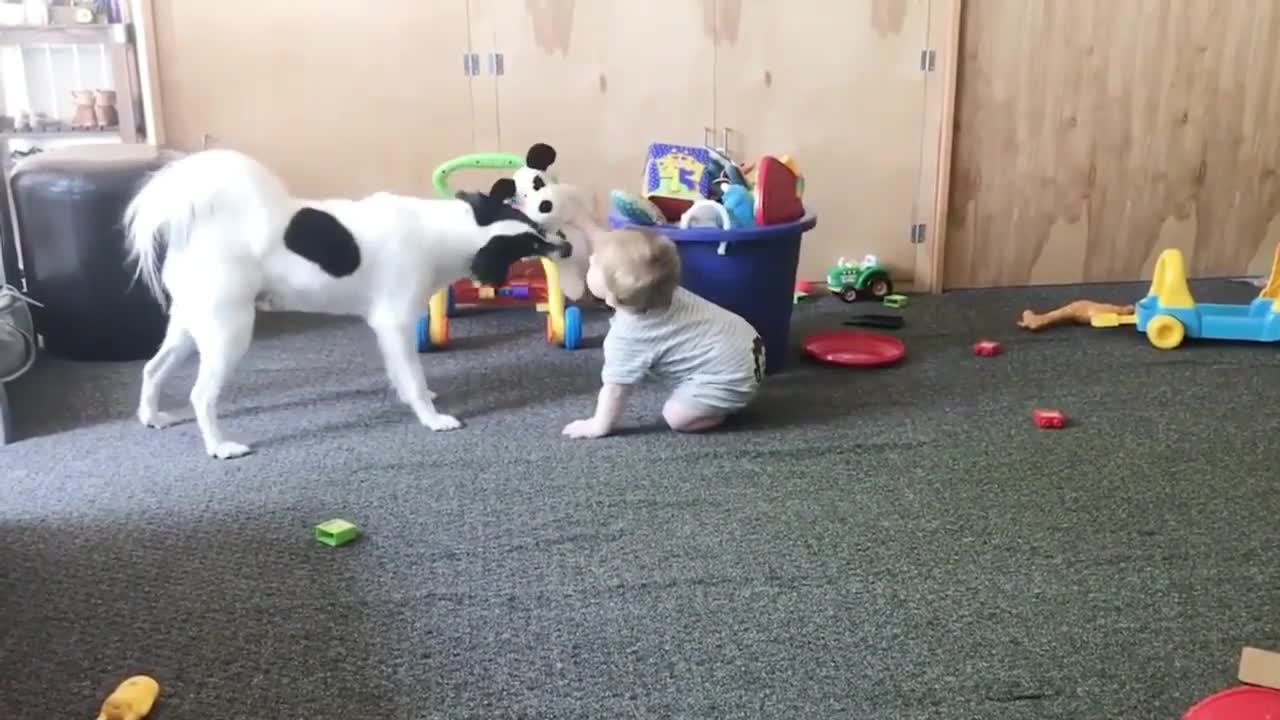 Baby and Dog Like Same Doll