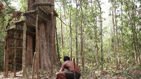 Building The Greatness Jungle Leaf House - 1