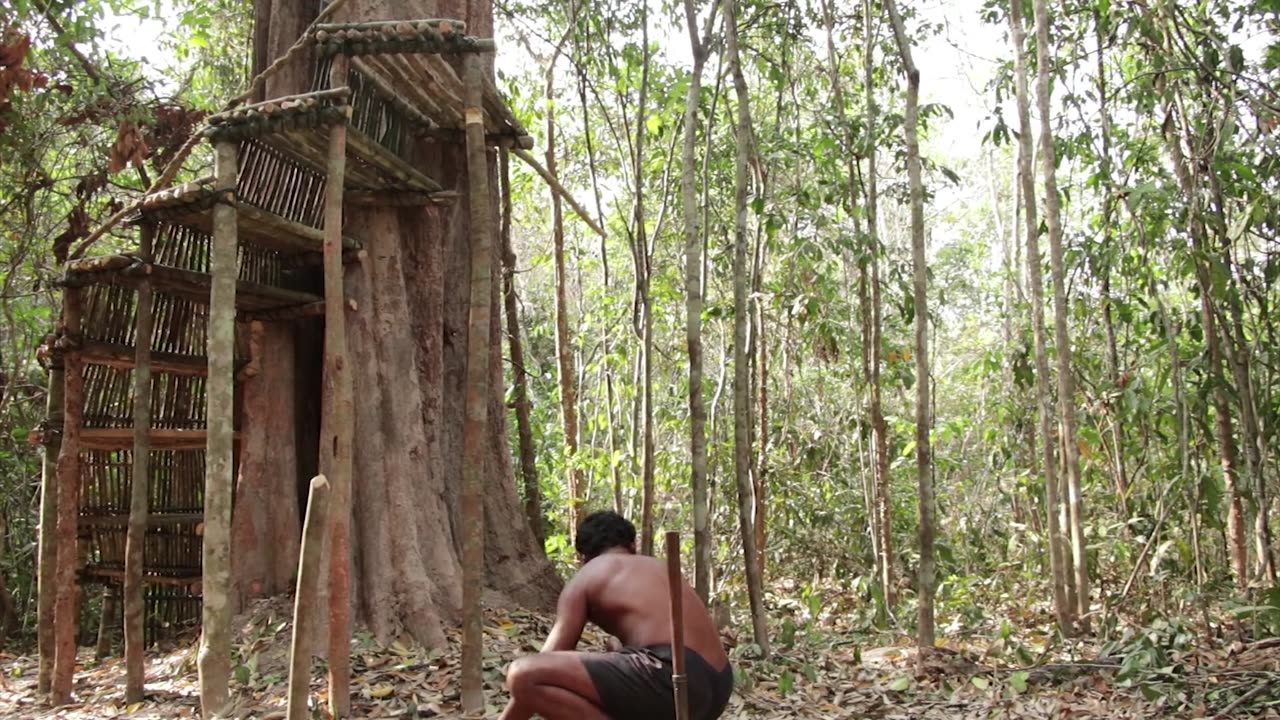 Building The Greatness Jungle Leaf House - 1