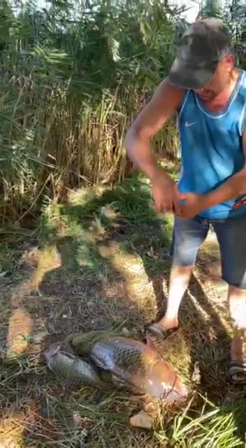 Fishing was successful